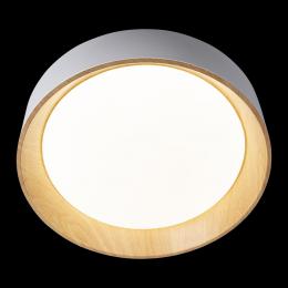 Потолочный светодиодный светильник Loft IT Coin 10202 White  - 3 купить